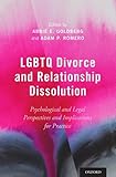 LGBTQ Divorce and Relationship Dissolution – book cover