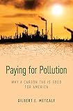 Paying For Pollution Why A Carbon Tax Is Good For America