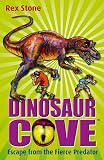Amazon cover image