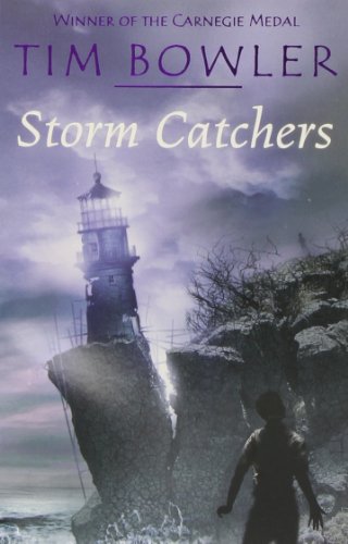 Storm Catchers book cover
