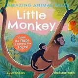 Amazon cover image
