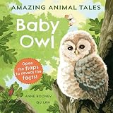 Amazon cover image