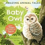 Amazon cover image