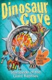 Amazon cover image