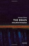 The Brain A Very Short Introduction