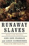 Runaway Slaves: Rebels in the Plantation