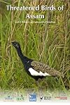 Threatened Birds of Assam