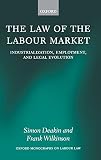 The Law Of The Labour Market Industrialization Employment And Legal Evolution