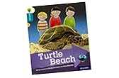 Turtle Beach