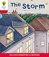 The Storm (Oxford Reading Tree: Level 4: Stories)