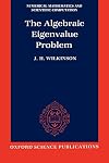 The Algebraic Eigenvalue Problem