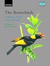 The Bowerbirds: Ptilonorhynchidae