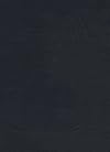 A Patristic Greek Lexicon