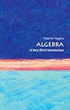 Algebra A Very Short Introduction Very Short Introductions
