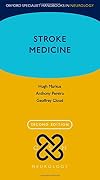 Stroke Medicine. Second edition