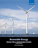 Renewable Energy Power For A Sustainable Future