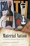 Material nation : a consumer's history of modern Italy