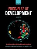 Principles Of Development