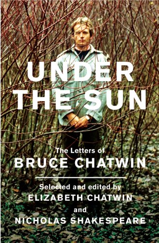 Under The Sun book cover