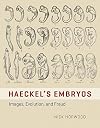 Haeckel's Embryos: Images, Evolution, and Fraud