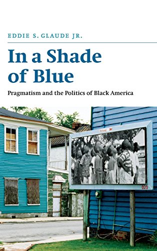 In a Shade of Blue book cover