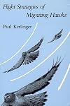 Flight Strategies of Migrating Hawks