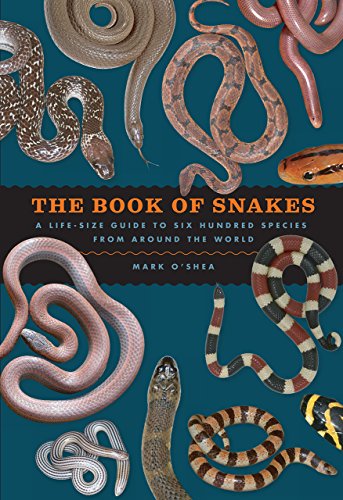 Cover of The Book of Snakes by Mark O'Shea