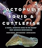 Octopus Squid Cuttlefish A Visual Scientific Guide To The Oceans Most Advanced Invertebrates