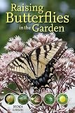 Raising Butterflies In The Garden