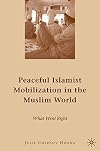 Peaceful Islamist Mobilization in the Muslim World: What Went Right
