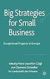 Big Strategies for Small Business: Exceptional Projects in Europe