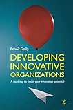 Developing Innovative Organizations A Roadmap To Boost Your Innovation Potential
