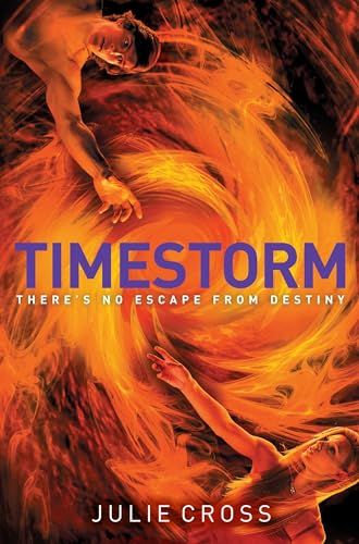 Timestorm book cover