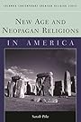 New Age and Neopagan Religions in America (Columbia Contemporary American Religion Series) - Sarah M. Pike
