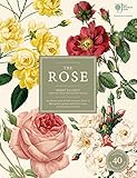 The Rose The History Of The Worlds Favourite Flower In 40 Captivating Roses With Classic Texts And Beautiful Rare Prints