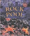 Life in a Rock Pool (Microhabitats)