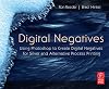 Digital Negatives: Using Photoshop to Create Digital Negatives for Silver and Alternative Process Printing