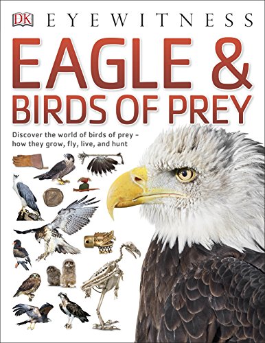 Cover of Eagle and Birds of Prey