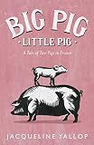 Amazon cover image