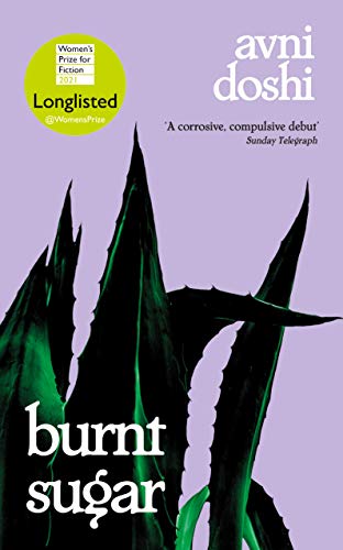 Burnt Sugar book cover