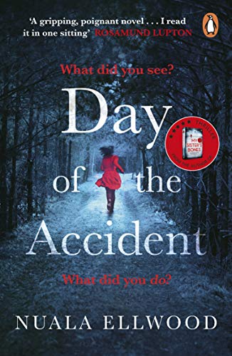 Day of the Accident book cover