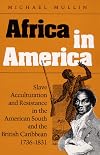 Africa in America: Slave Acculturation and Resistance in the American South and the British Caribbean, 1736-1831
