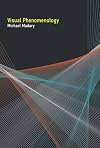 Visual phenomenology