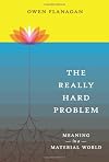 The Really Hard Problem: Meaning in a Material World