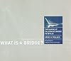 What Is a Bridge? The Making of Calatrava's Bridge in Seville