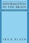 Information in the Brain