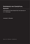 Experience and Conceptual Activity