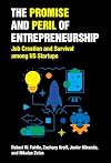 The Promise and Peril of Entrepreneurship: Job Creation and Survival among US Startups