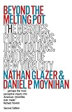 Beyond The Melting Pot Revised Harvardmit Joint Center For Urban Studies Series The Negroes Puerto Ricans Jews Italians And Irish Of New York City