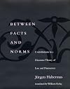 Between Facts and Norms: Contributions to a Discourse Theory of Law and Democracy